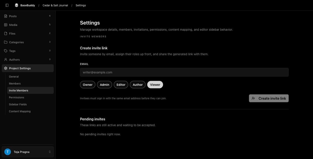 Invite members screen with role choices and a safe placeholder email